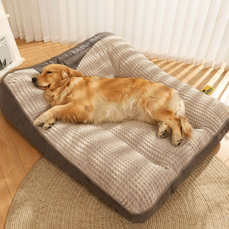 Grand lit de coussin pour chien avec protection de la colonne vertébrale